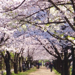 浜寺公園