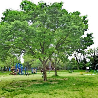 西成公園