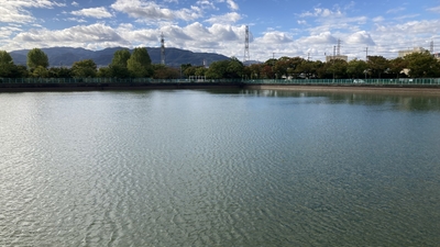 下の池公園