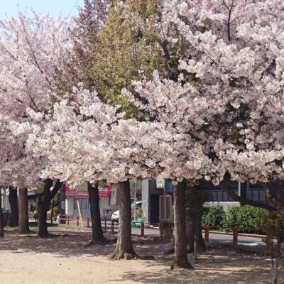 鴫野東公園