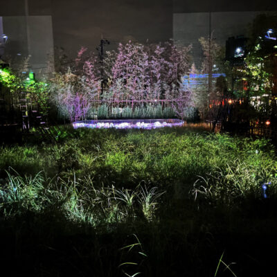 チームラボ：風と雨と太陽の草原